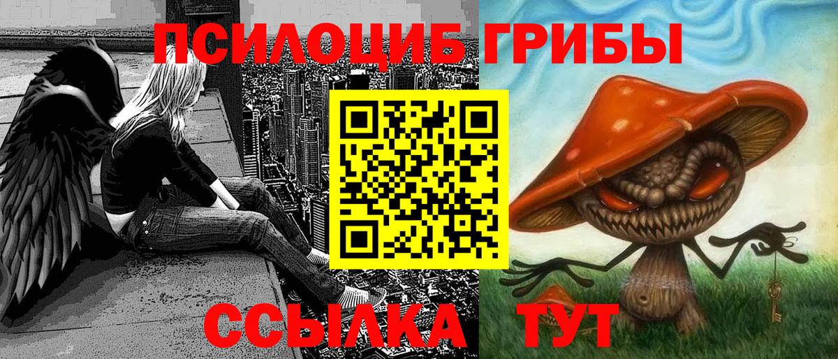 Псилоцибиновые грибы Psilocybine cubensis  цены   Симферополь  Псилоцибиновые грибы прущие грибы  Вход с VPN 