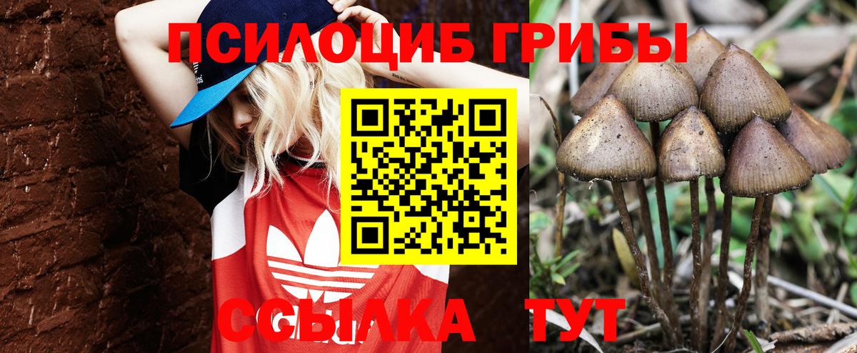 Псилоцибиновые грибы мухоморы Симферополь